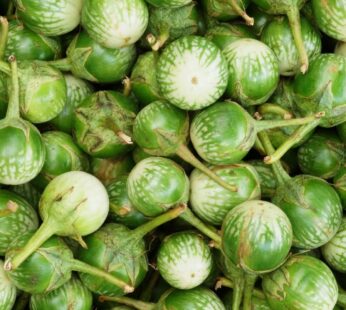 Buy Thai Green Eggplant / Ravaya 400gm online in Germany