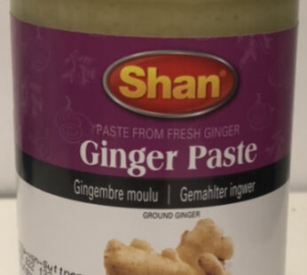 Buy Shan Ginger Paste 700g online in Germany