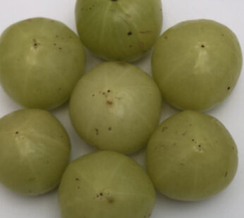 AMLA ( Indian Groseberry Fruit) 400g