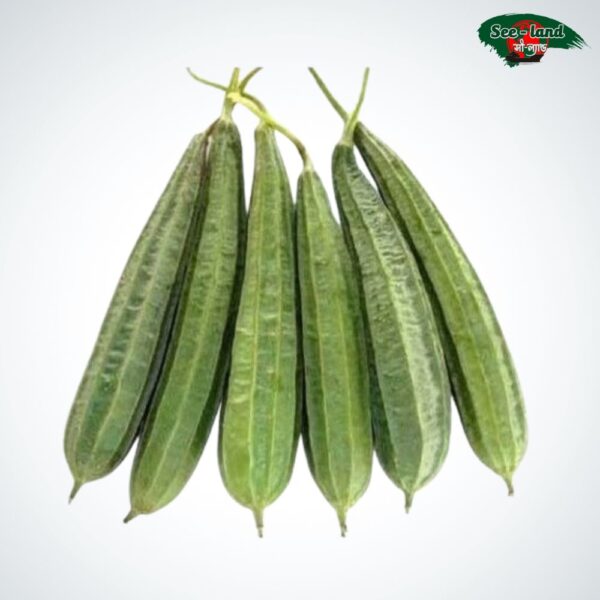 Buy Bangladeshi Vegetable Zinga, জিংগা, তরী 500-700 gm