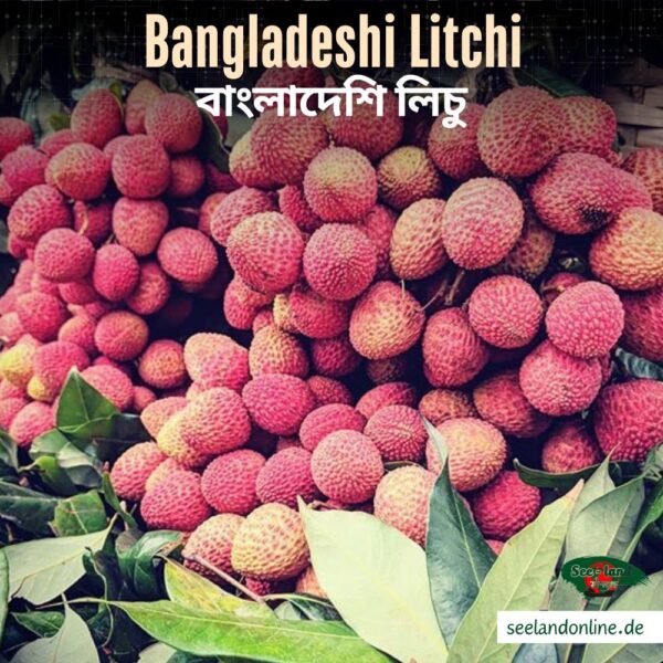 Bangladeshi Litchi | বাংলাদেশের দিনাজপুরের লিচু | 1 kg pack