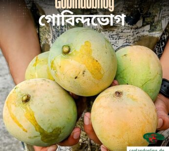 Bangladeshi Gobindobhog Mango | বাংলাদেশি গোবিন্দভোগ আম | 5 kg pack