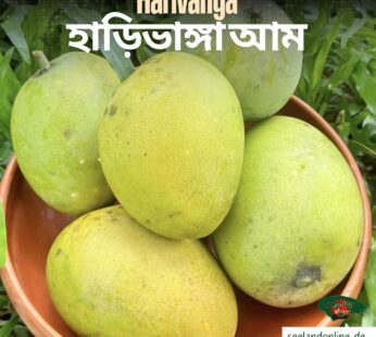Bangladeshi Harivanga Mango | বাংলাদেশি হাড়িভাঙ্গা আম | 4800g -5000g