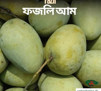 Bangladeshi Fazli Mango | বাংলাদেশি ফজলি আম | 4800gm – 5000 gm