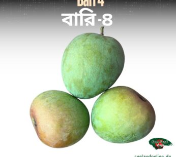Bangladeshi BARI 4 Mango | বাংলাদেশি বারি-4 আম | 4800g-5000g