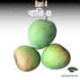 Bangladeshi BARI 4 Mango | বাংলাদেশি বারি-4 আম | 4800g-5000g