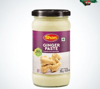 Shan Ginger Paste 310gm